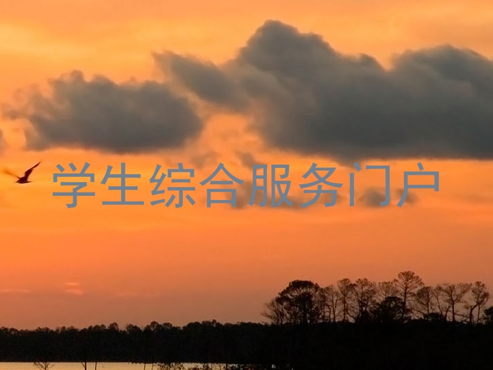 学生综合服务门户
