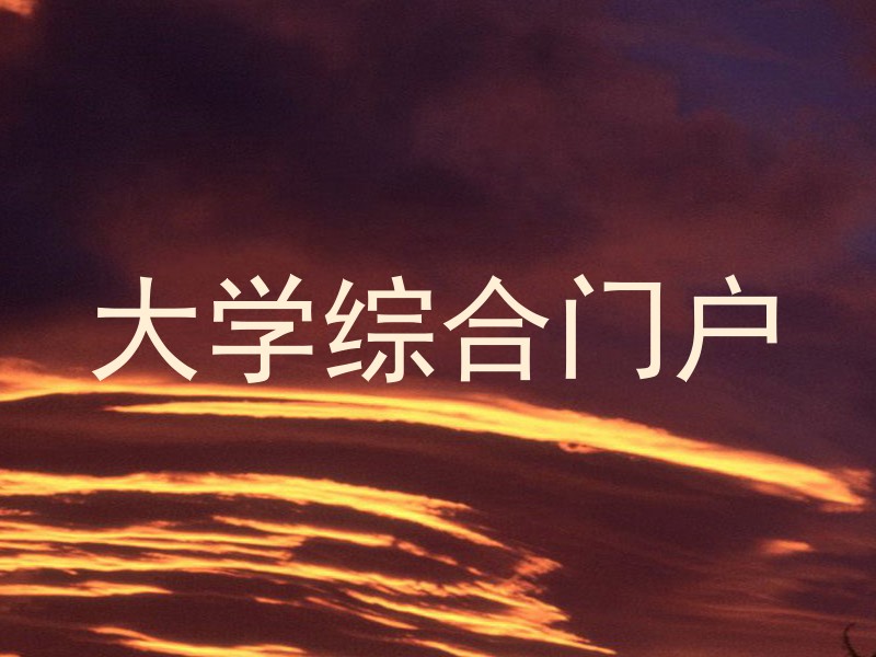 大学综合门户