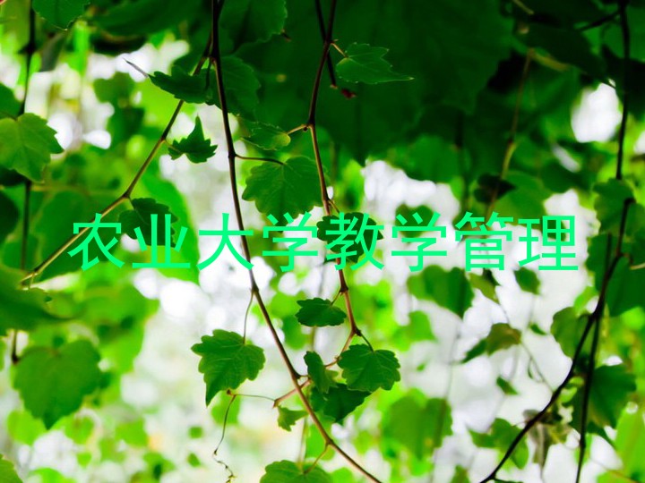 农业大学教学管理