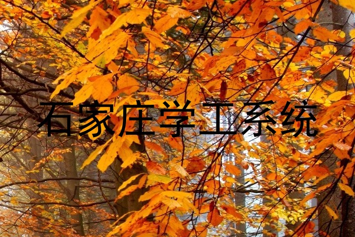 石家庄学工系统