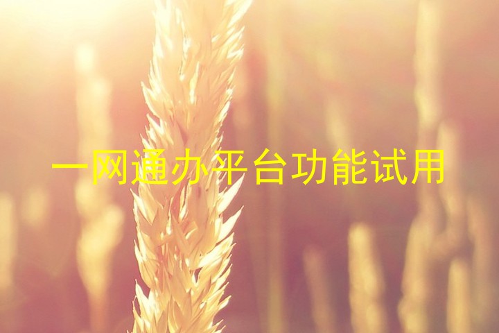 一网通办平台功能试用
