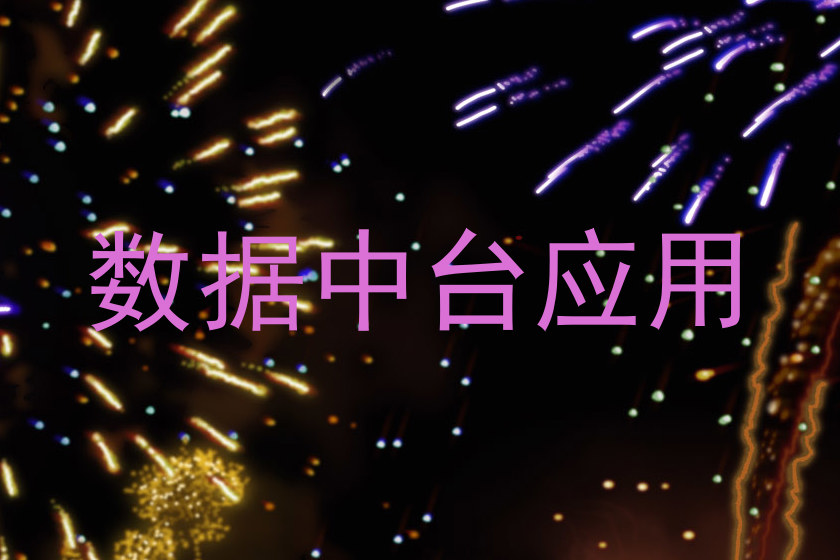 数据中台应用