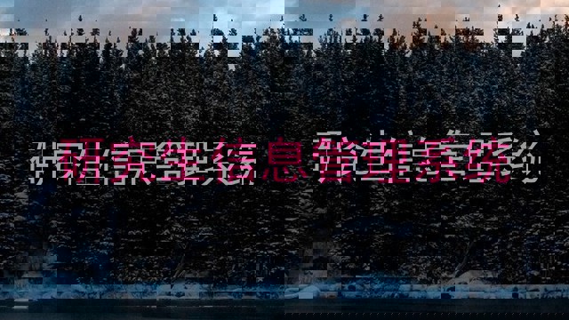 研究生信息管理系统