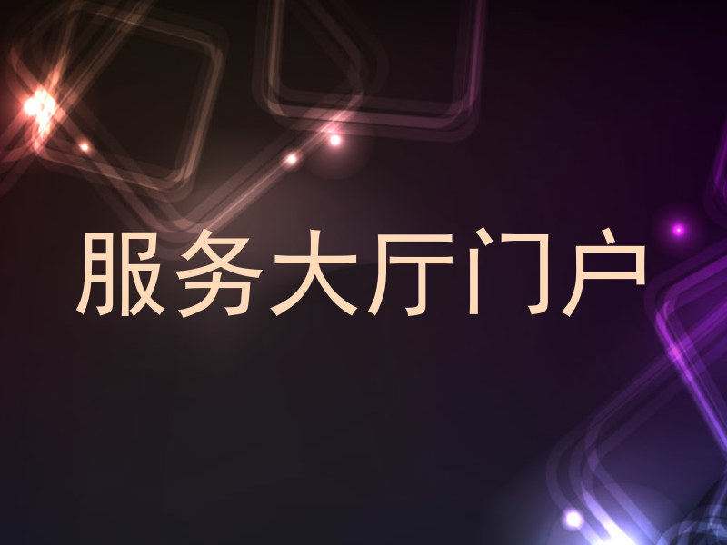 服务大厅门户