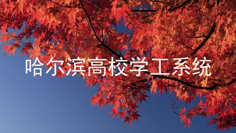 哈尔滨高校学工系统