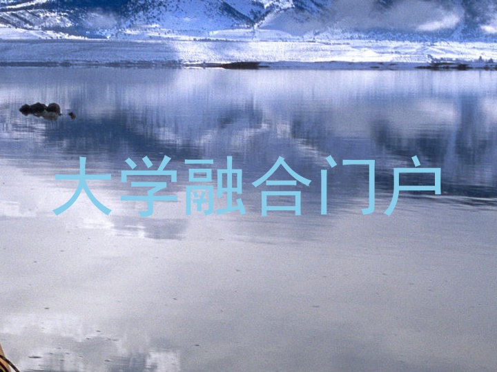 大学融合门户
