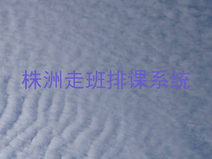 株洲走班排课系统