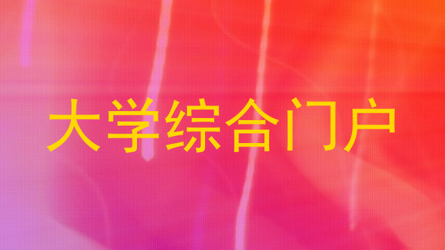 大学综合门户