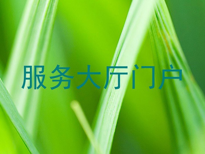服务大厅门户