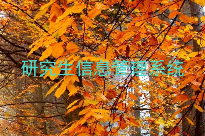 研究生信息管理系统