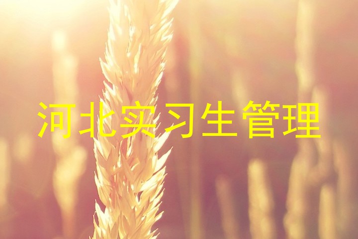 河北实习生管理