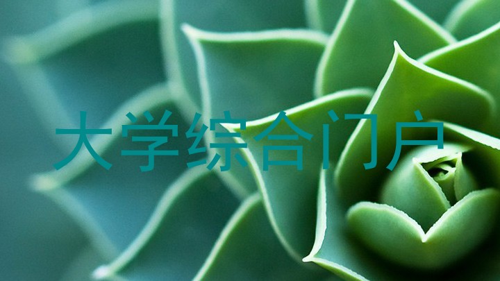 大学综合门户