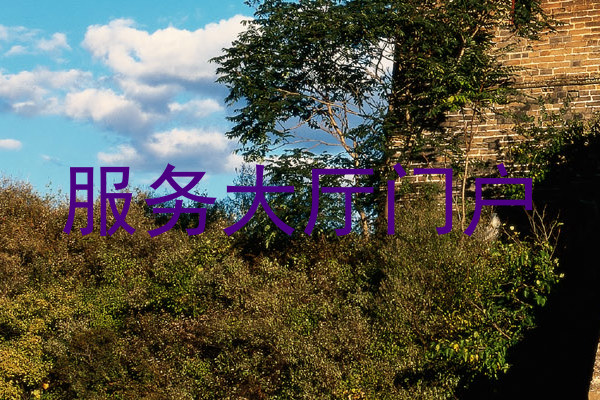 服务大厅门户