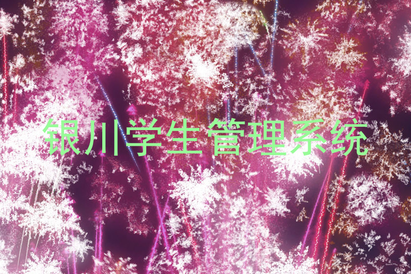 银川学生管理系统