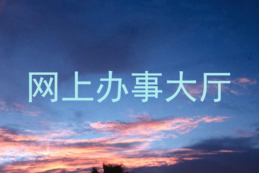 网上办事大厅