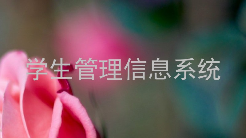 学生管理信息系统