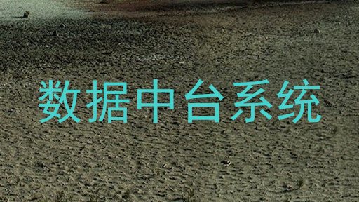 数据中台系统