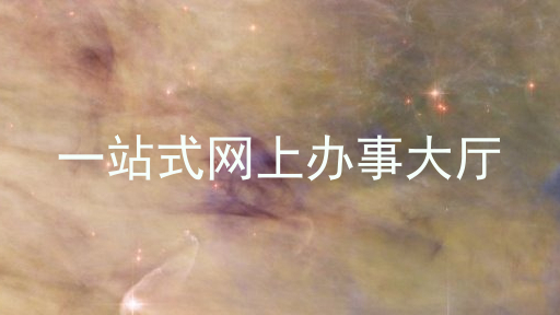 一站式网上办事大厅
