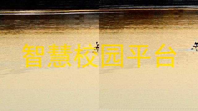 智慧校园平台