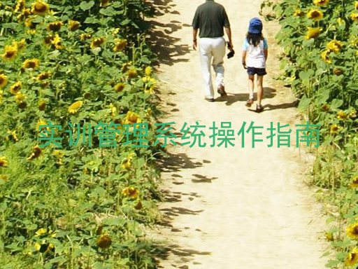 实训管理系统操作指南