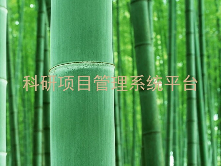 科研项目管理系统平台