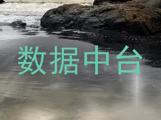数据中台