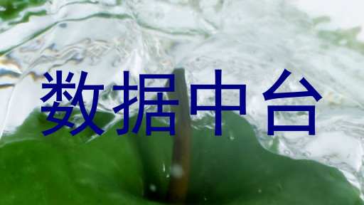 数据中台