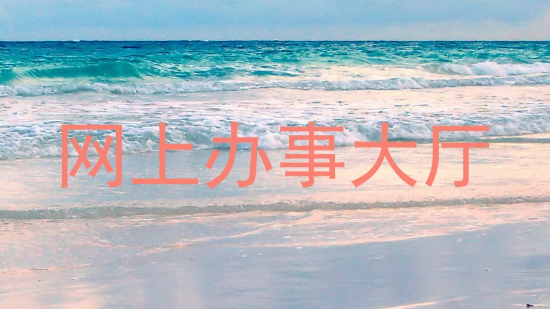 网上办事大厅