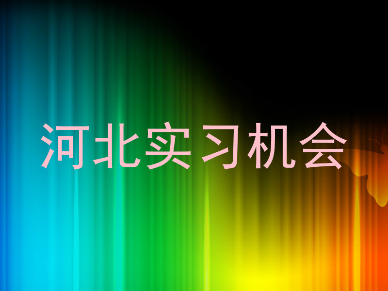 河北实习机会