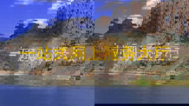 一站式网上服务大厅