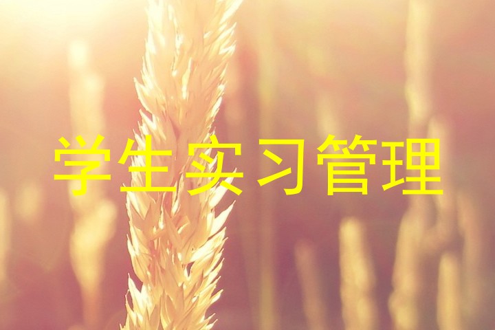 学生实习管理