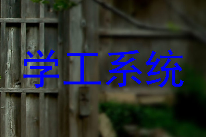 学工系统