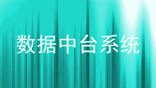 数据中台系统