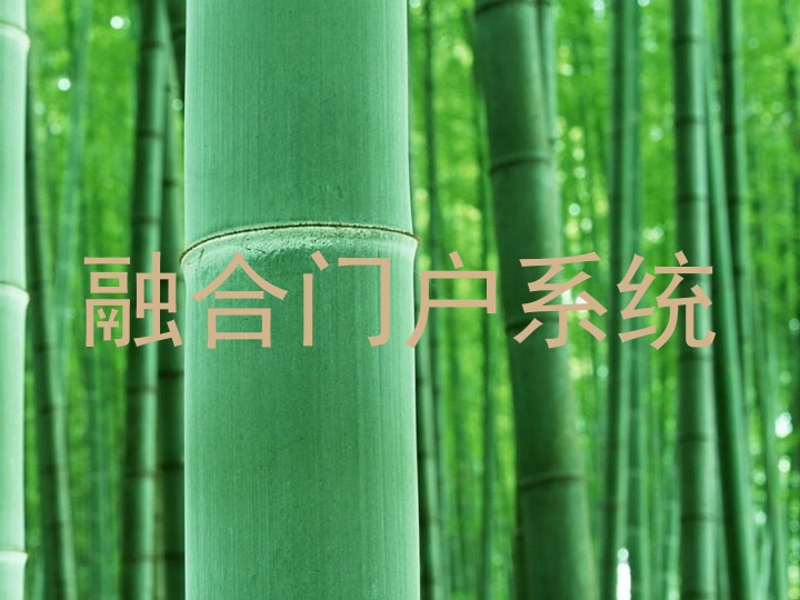 融合门户系统