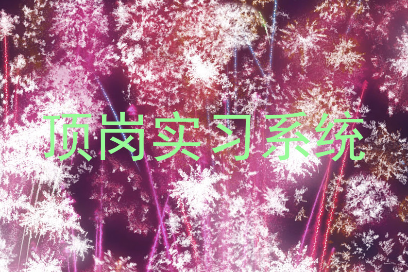 顶岗实习系统