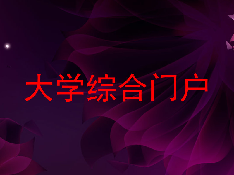 大学综合门户