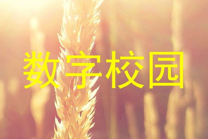 数字校园