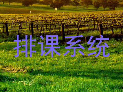 排课系统