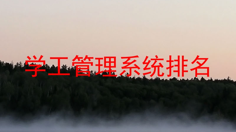 学工管理系统排名