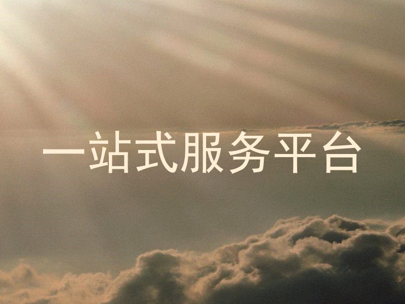 一站式服务平台