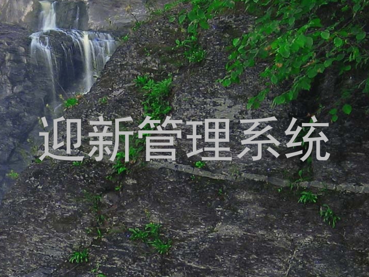 迎新管理系统
