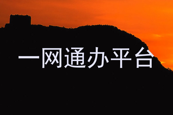 一网通办平台