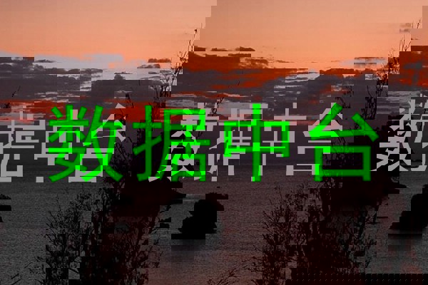 数据中台