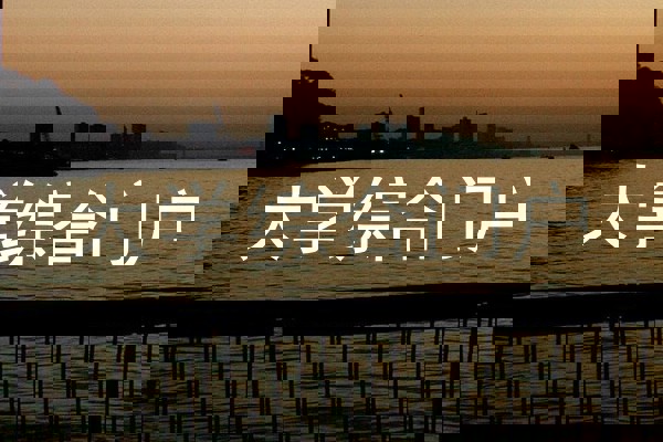大学综合门户