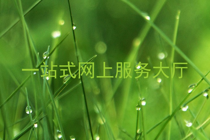 一站式网上服务大厅