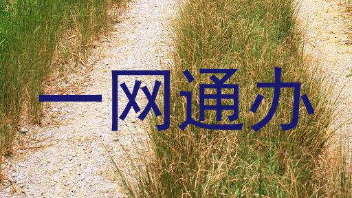 一网通办