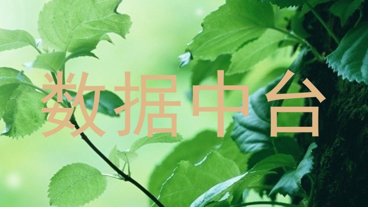 数据中台