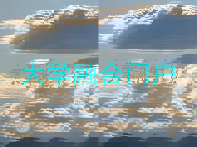 大学融合门户