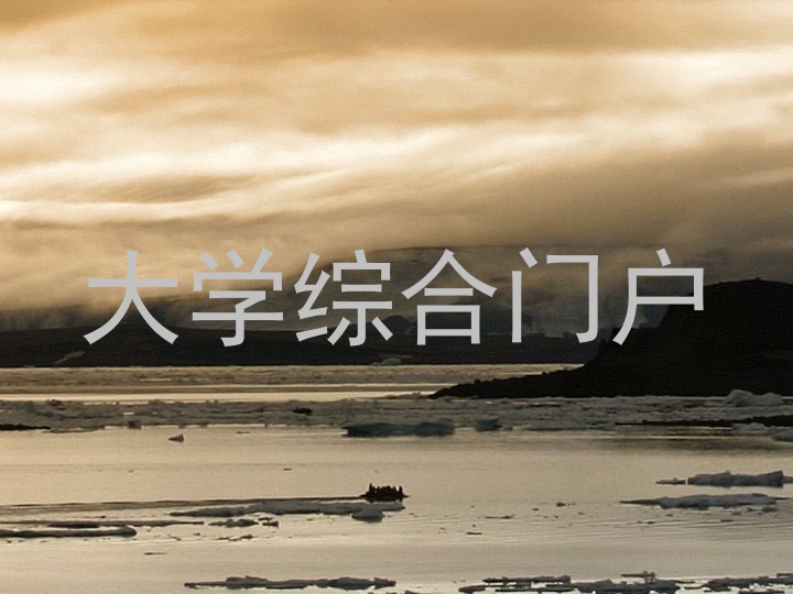 大学综合门户