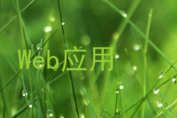 Web应用